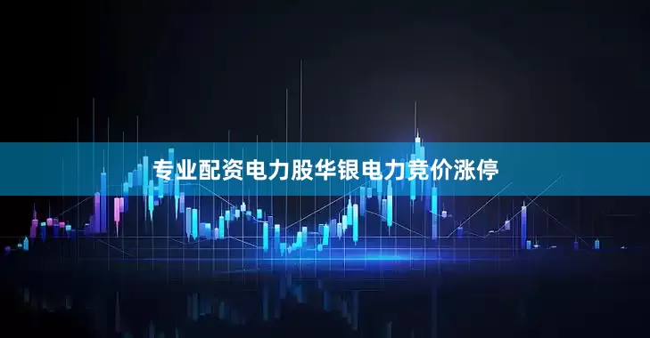 专业配资电力股华银电力竞价涨停